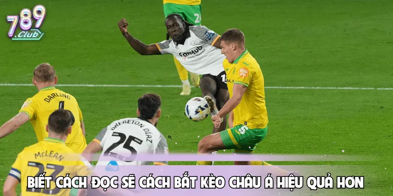 biet-cach-doc-se-cach-bat-keo-chau-a-hieu-qua-hon