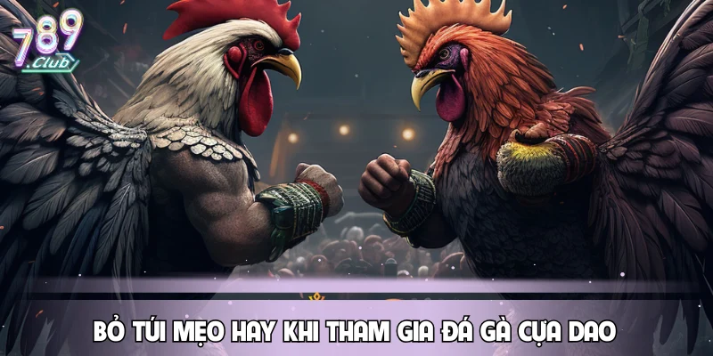 Bỏ túi mẹo hay khi tham gia đá gà cựa dao