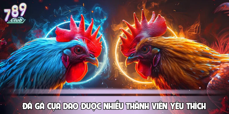 Hình thức đá gà cựa dao được nhiều thành viên yêu thích