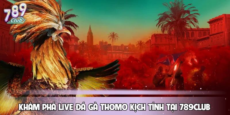 Khám phá live đá gà Thomo kịch tính tại 789CLUB