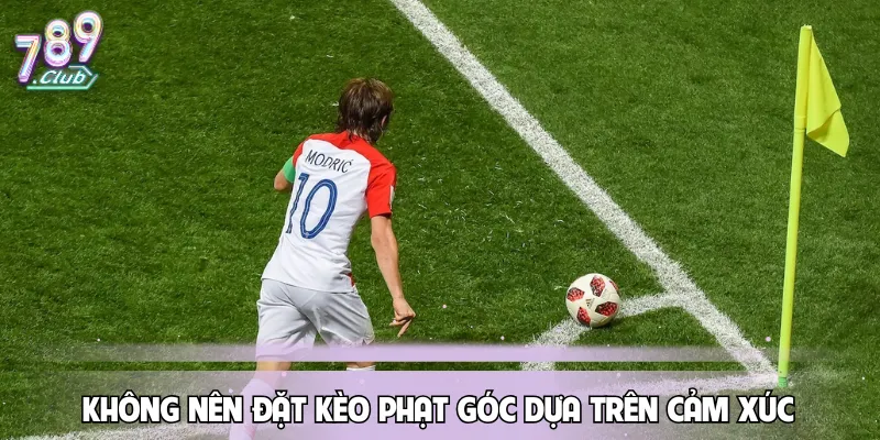 khong-nen-dat-keo-phat-goc-dua-tren-cam-xuc