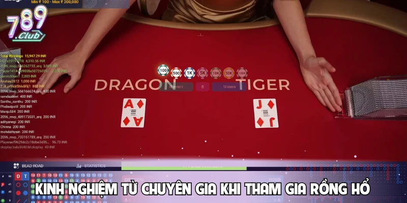 kinh-nghiem-tu-chuyen-gia-khi-tham-gia-rong-ho