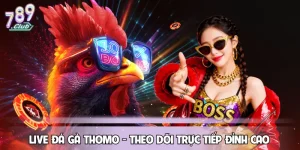 Live Đá Gà Thomo - Theo Dõi Trực Tiếp Các Trận Đấu Đỉnh Cao