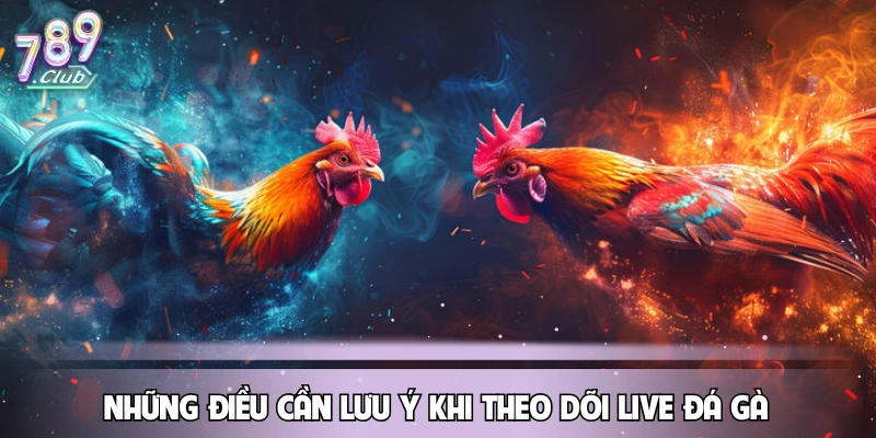 Những điều cần lưu ý khi theo dõi live đá gà