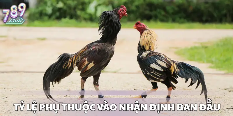 Tỷ lệ phụ thuộc vào nhận định ban đầu